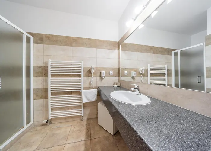 Hotel Sanatorium Mariot 3*